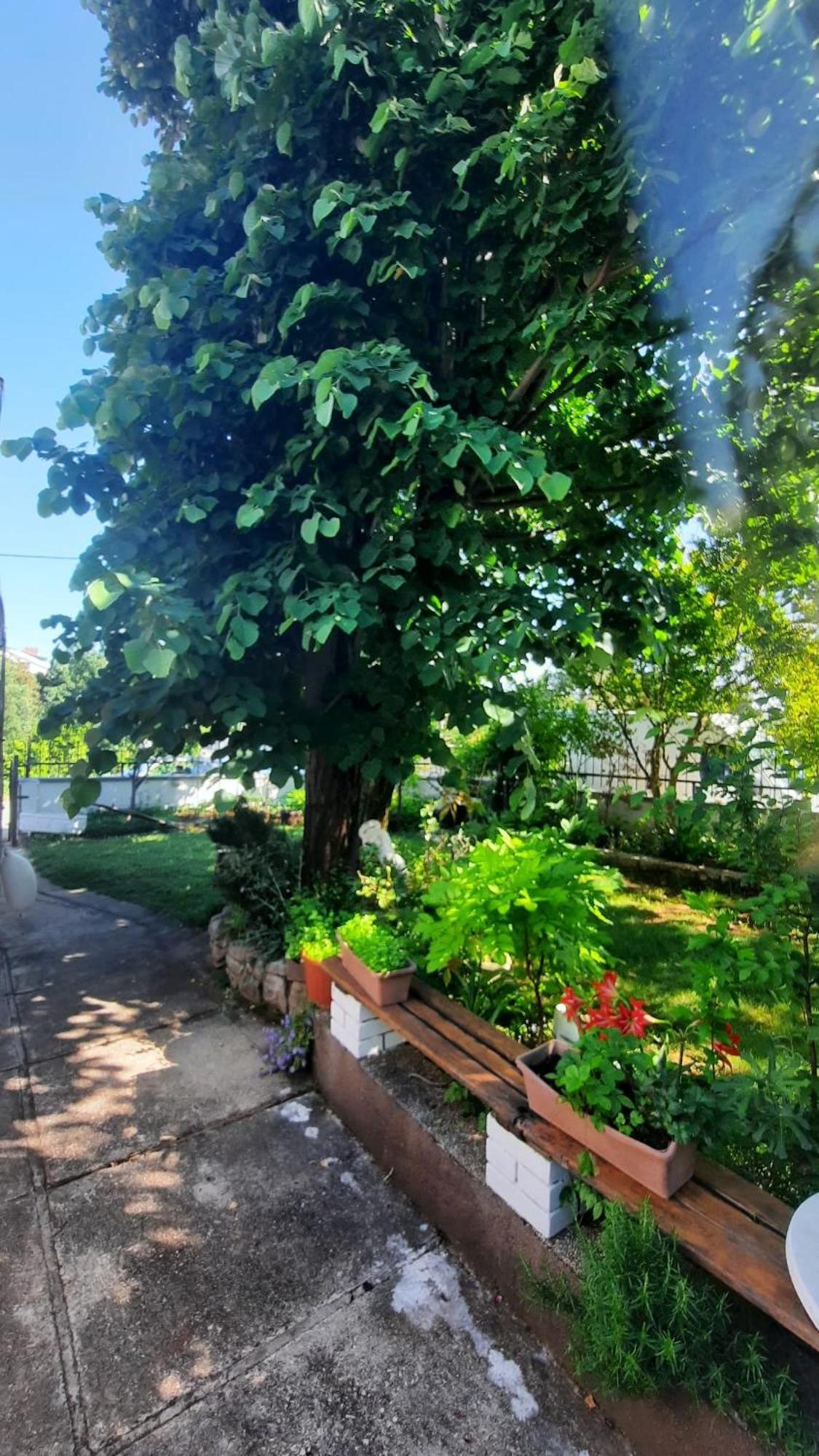 Apartmani Tinka Starigrad Paklenica Zewnętrze zdjęcie